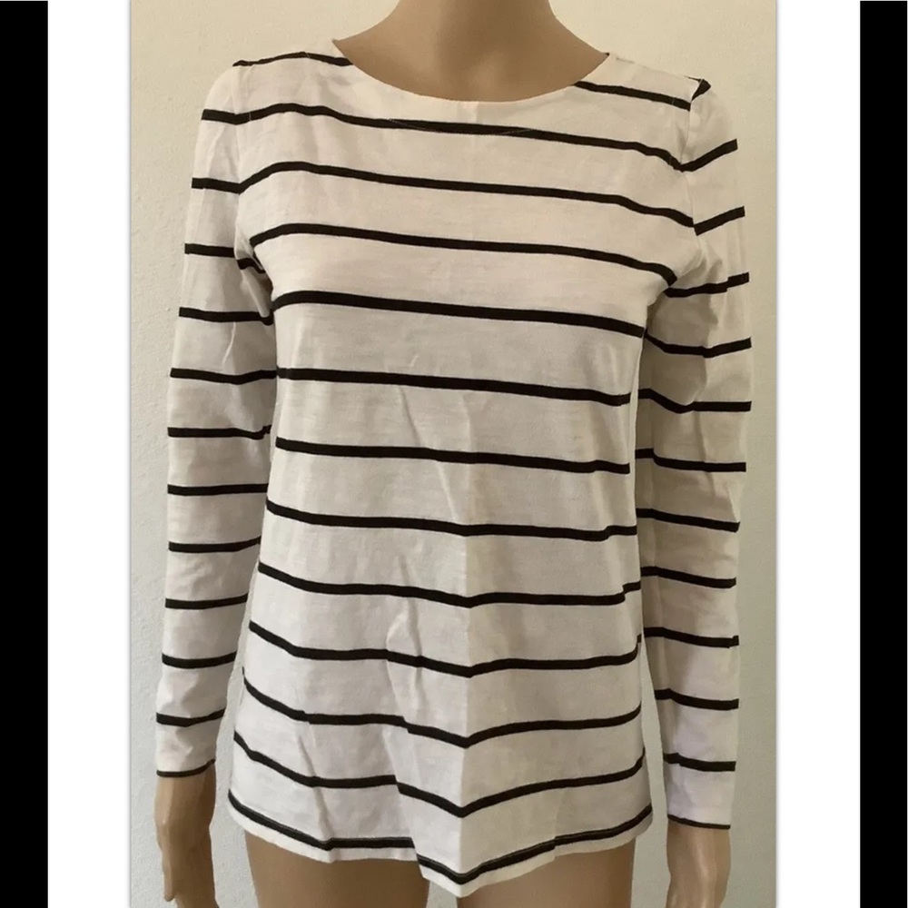 Ann Taylor LOFT Top Sz Medium Long Sleeve Cotton